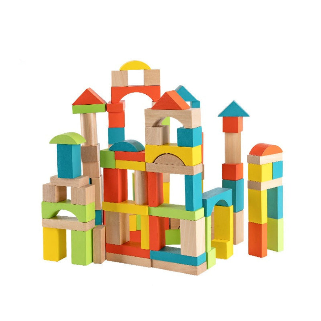 PHOOHI Wooden Classic 100pcs Blocks - PHOOHI