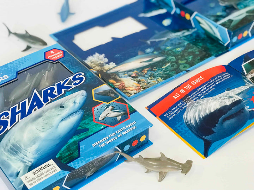 Pocket Explorers: Sharks Pocket Explorers