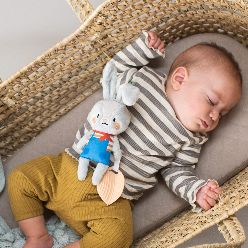 Taf Toys Rylee the Bunny - Easier Development