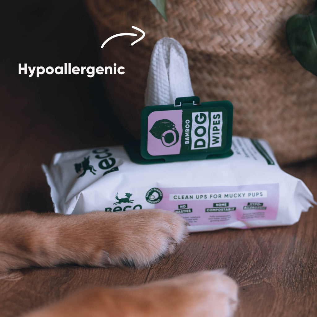 Beco Bamboo Dog Wipes Coconut Scented
