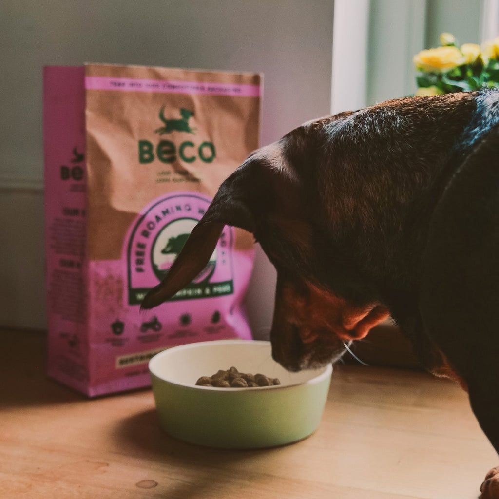 Beco Bamboo Pet Bowl Fresh Mint