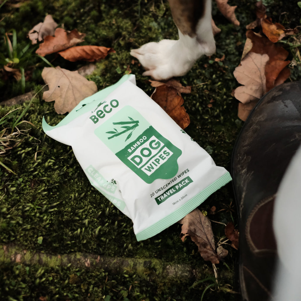 Beco Bamboo Travel Wipes Unscented – 20pk Soft & Compact