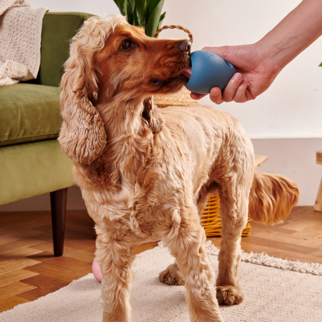 Beco Boredom Buster Enrichment Toy - Dog Toys