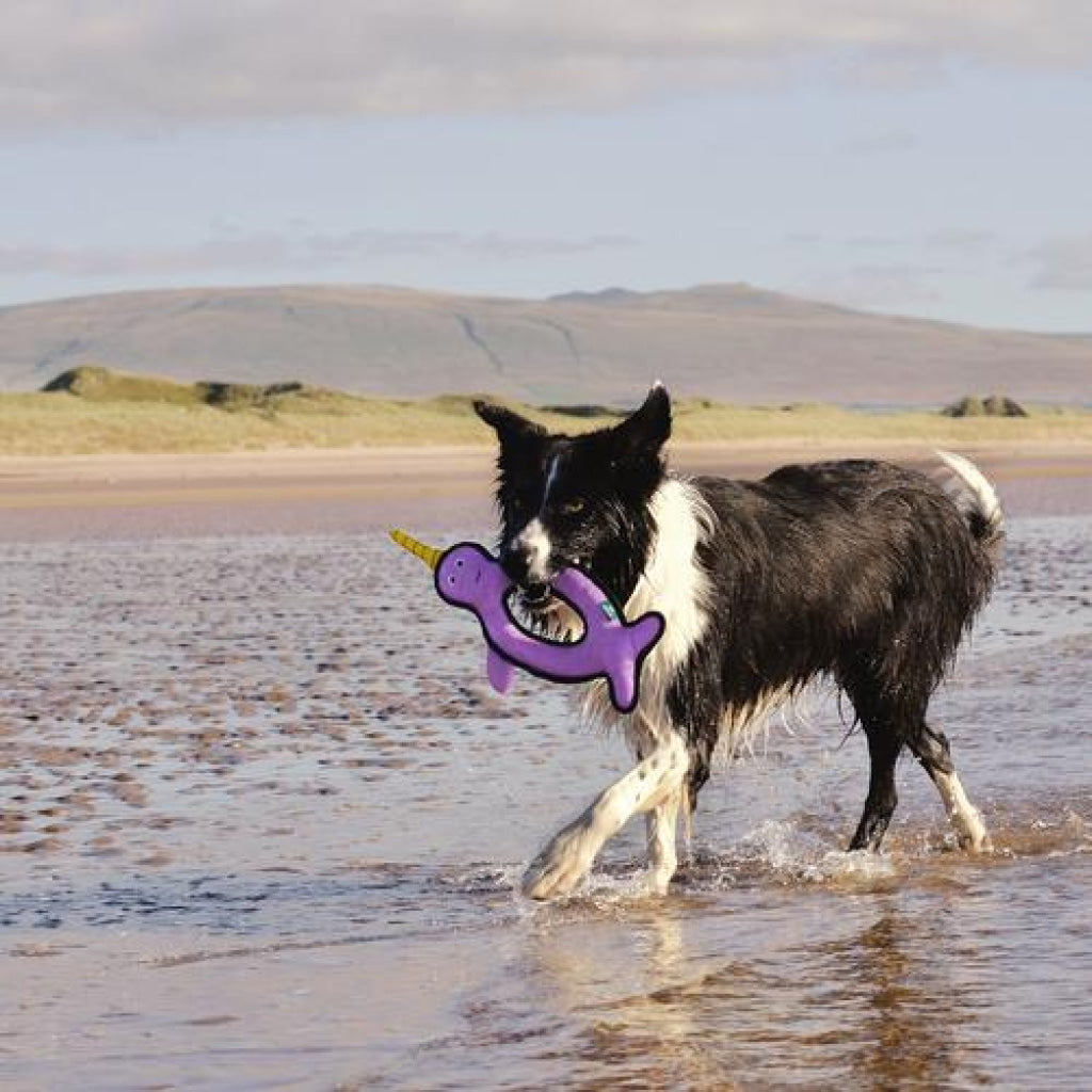Beco Dog Toy Narwhal | Floats Squeaks Sustainable Material