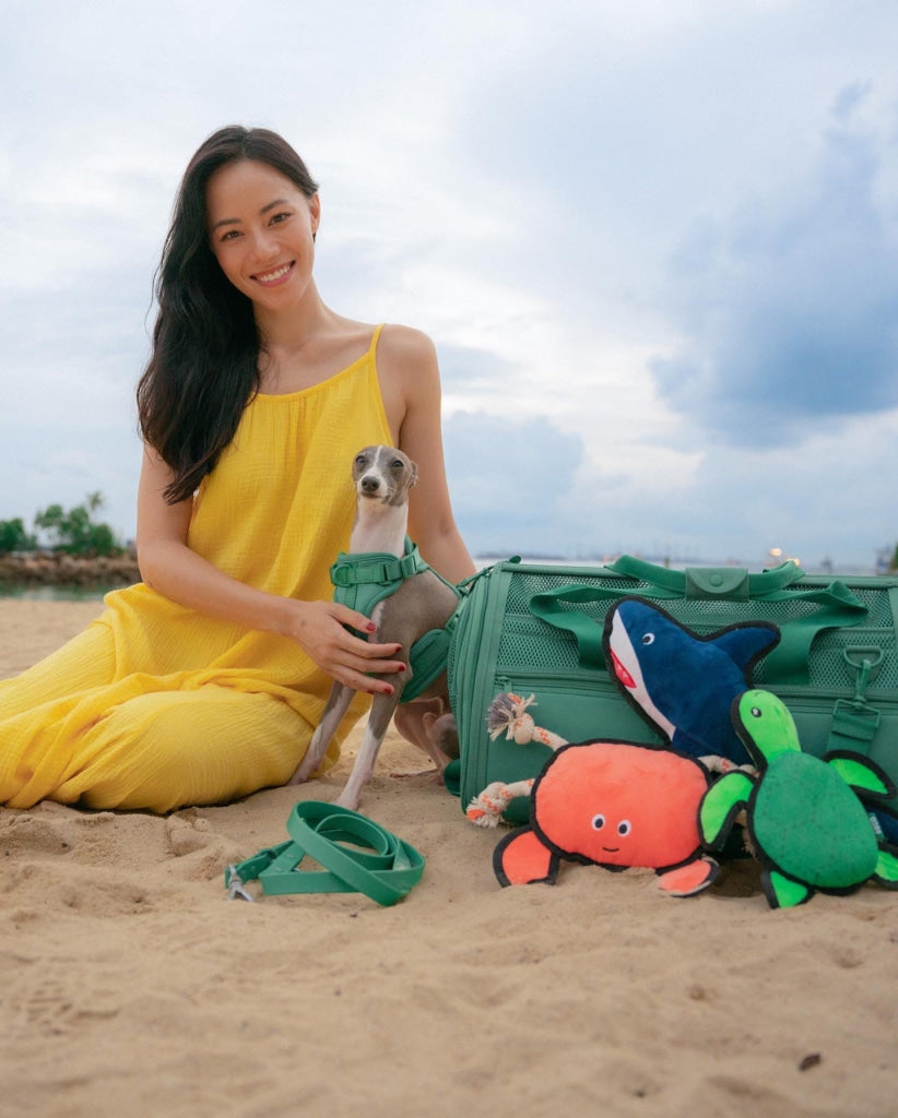Beco Dog Toy Turtle | Floats Squeaks Sustainable Material - Dog Toys