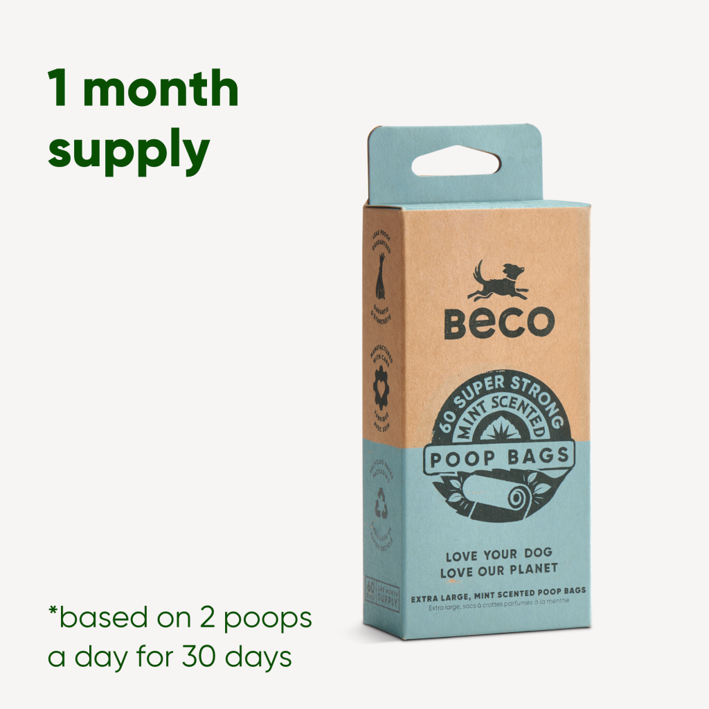 Beco Poop Bags Mint Scented – Big Strong Leak-Proof 100% Recycled Plastic - 60pcs