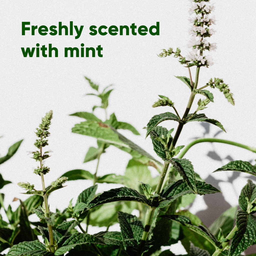 Beco Poop Bags Mint Scented – Big Strong Leak-Proof 100% Recycled Plastic