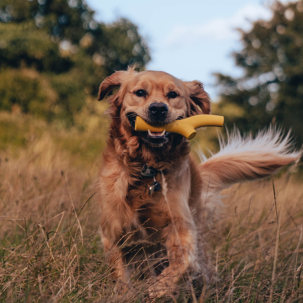 Beco Super Stick Toy - Dog Toys