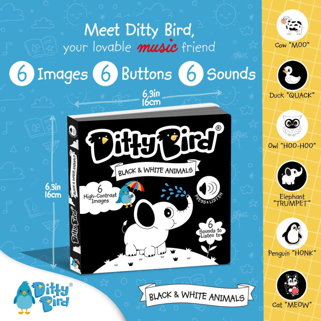 Ditty Bird: Black And White Animals Bird