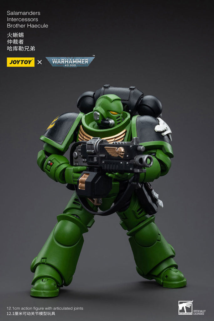 Joytoy Warhammer 40K Salamanders Intercessors Brother Haecule Warhammer