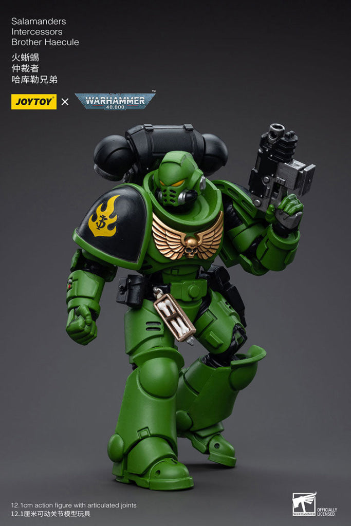 Joytoy Warhammer 40K Salamanders Intercessors Brother Haecule Warhammer