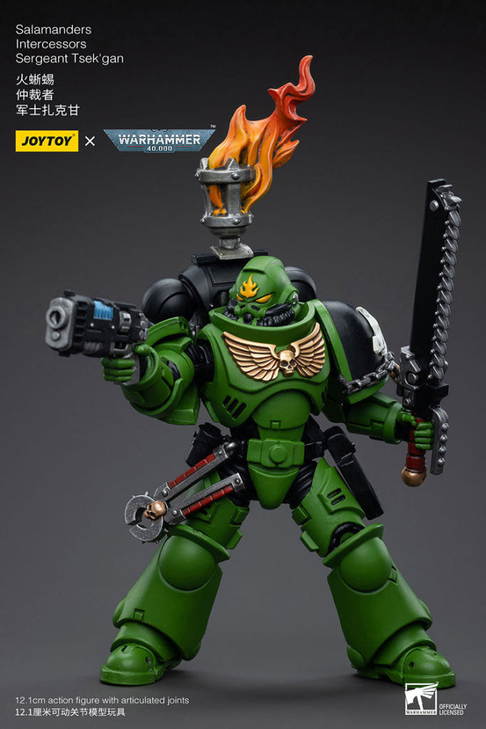 Joytoy Warhammer 40K Salamanders Intercessors Sergeant Tsek’gan Warhammer