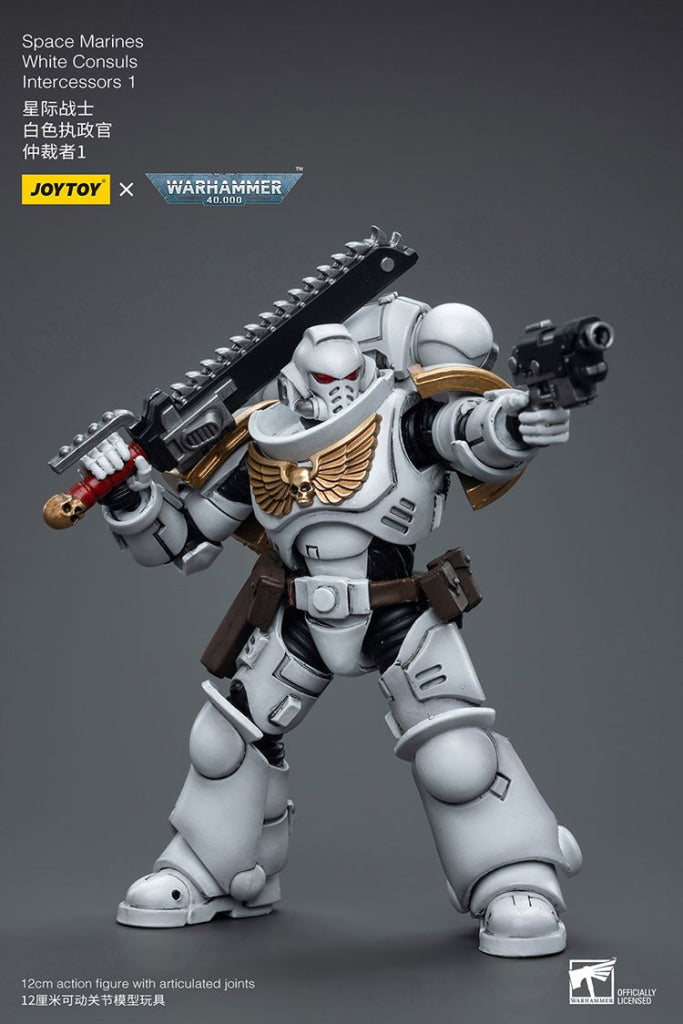 Joytoy Warhammer 40K Space Marines White Consuls Intercessors 1 Jt6847 Warhammer