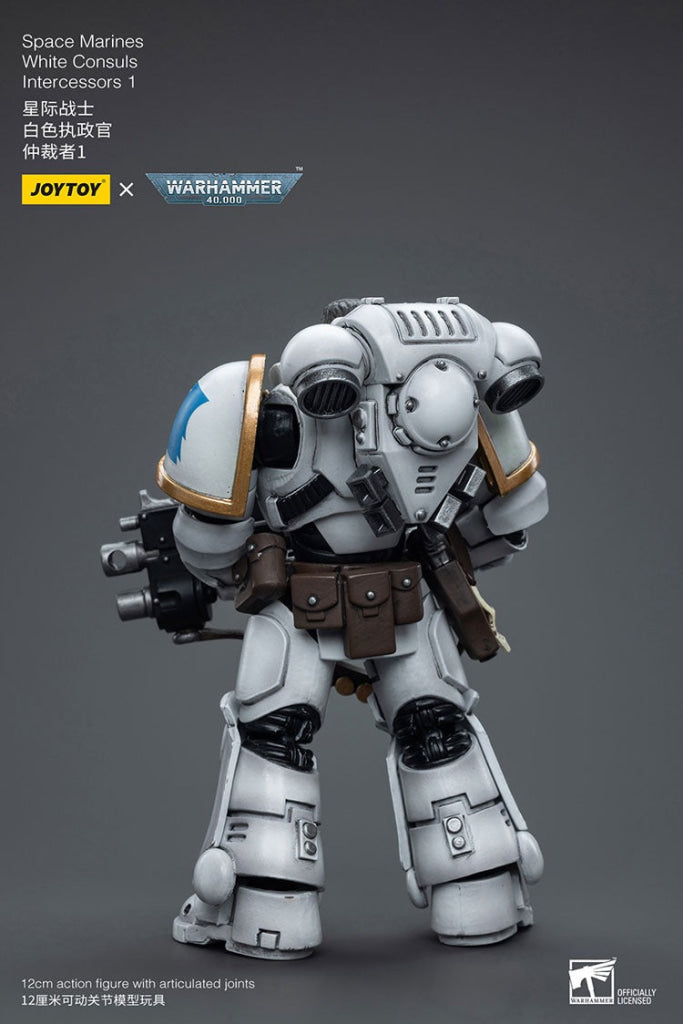 Joytoy Warhammer 40K Space Marines White Consuls Intercessors 1 Jt6847 Warhammer