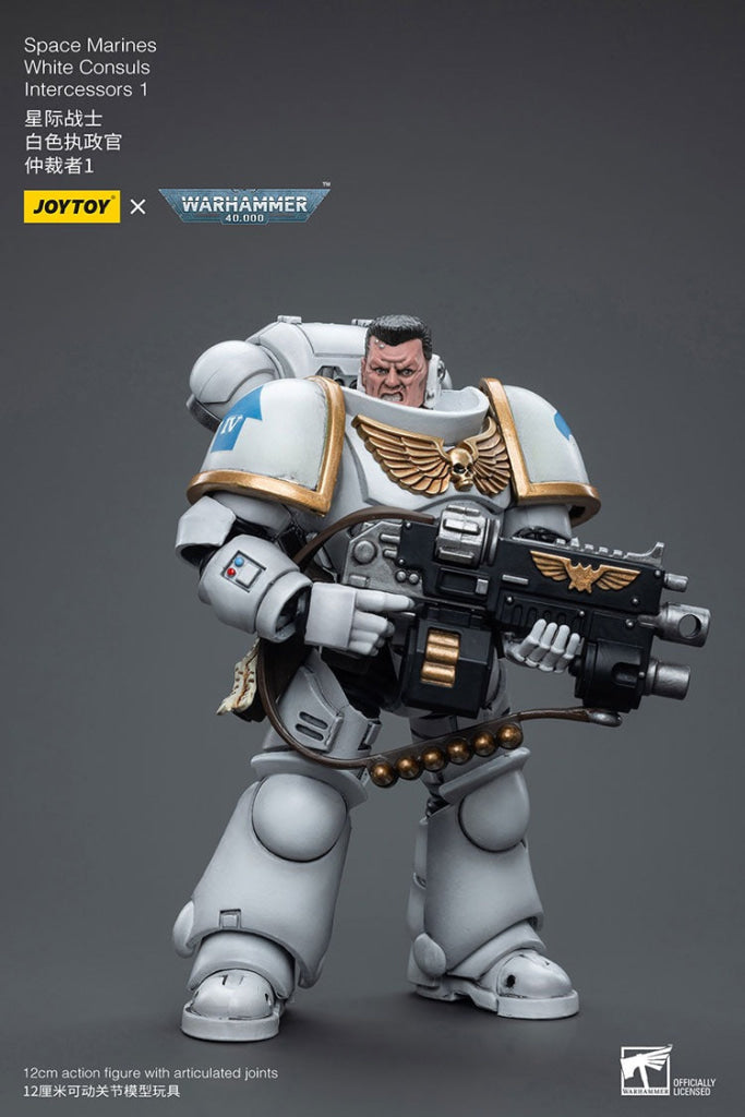 Joytoy Warhammer 40K Space Marines White Consuls Intercessors 1 Jt6847 Warhammer