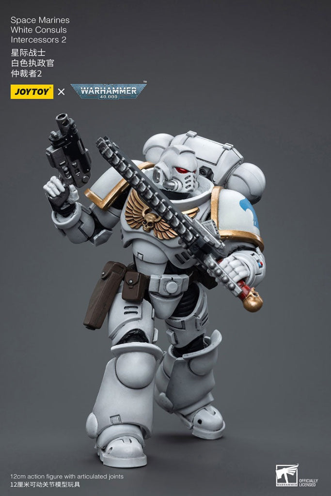 Joytoy Warhammer 40K Space Marines White Consuls Intercessors 2 Jt6854 Warhammer