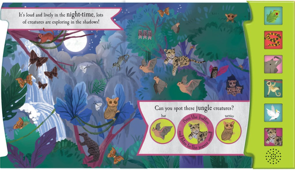 North Parade Nature 6 Button Sound Books Noisy Jungle North Parade