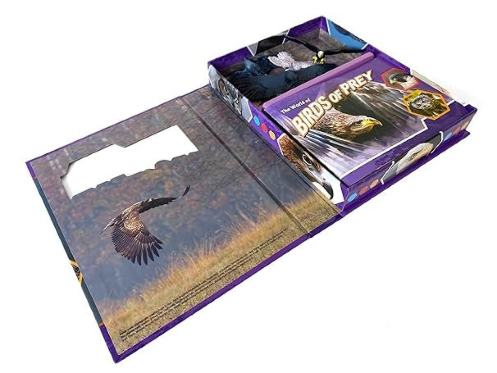 Pocket Explorers: Birds Of Prey Pocket Explorers