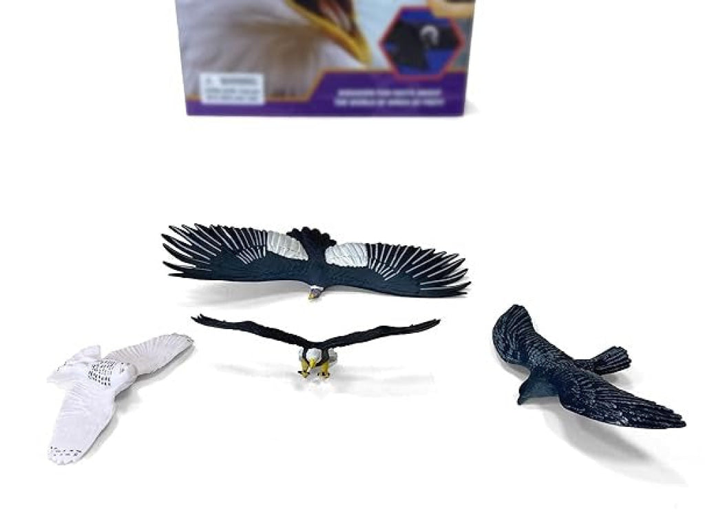 Pocket Explorers: Birds Of Prey Pocket Explorers