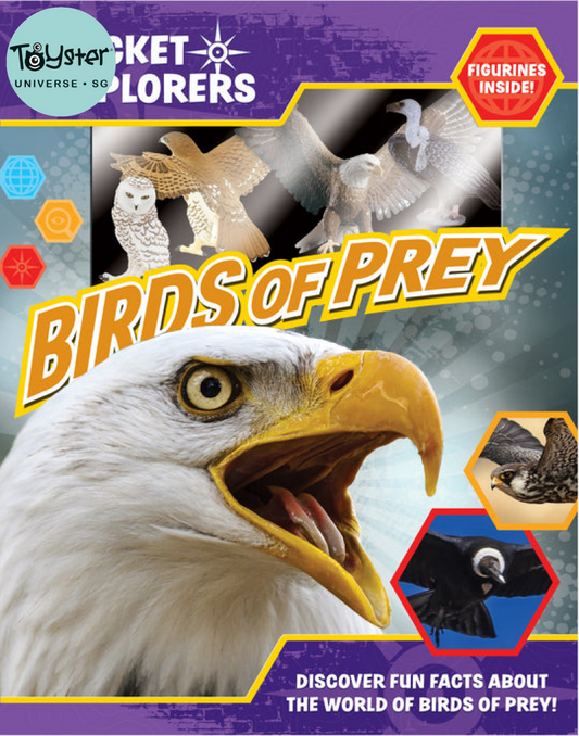 Pocket Explorers: Birds Of Prey Pocket Explorers