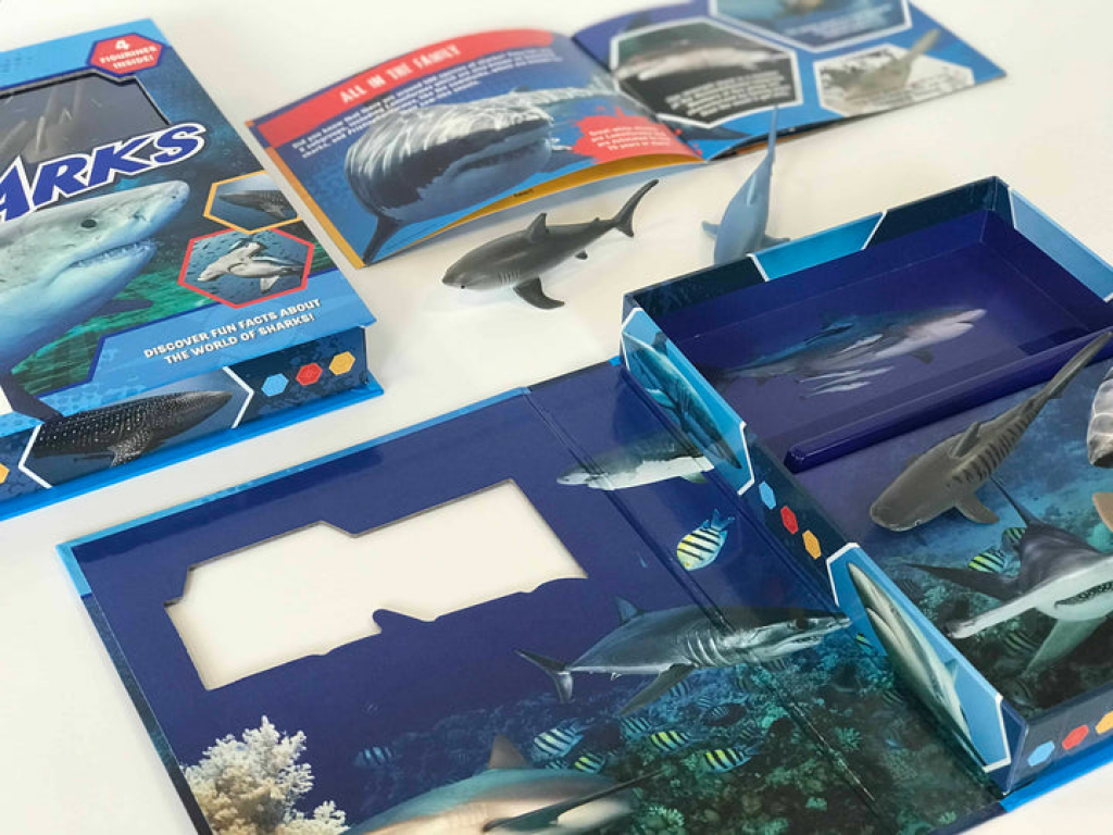 Pocket Explorers: Sharks Pocket Explorers
