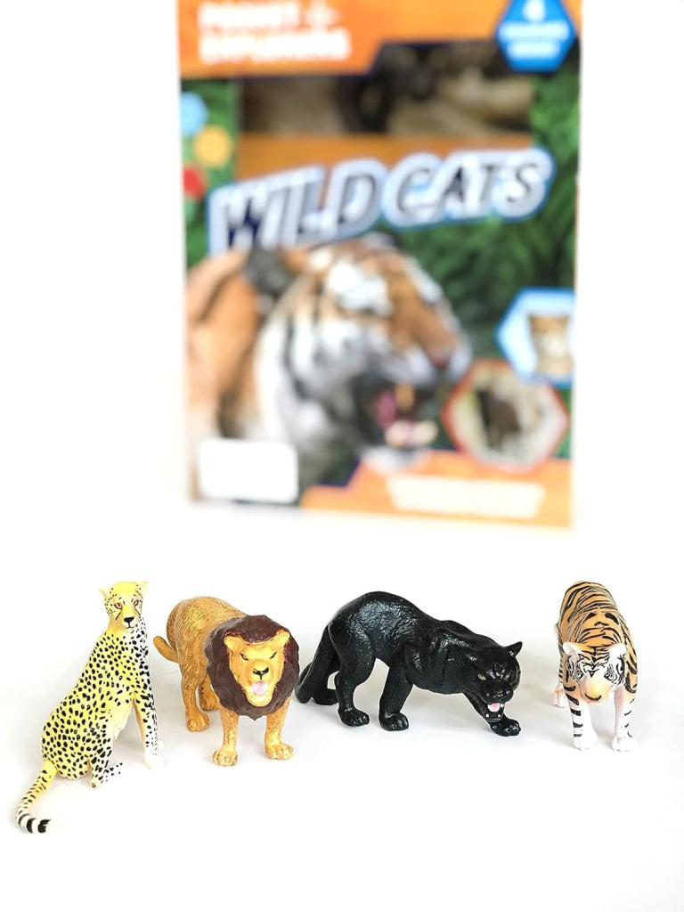 Pocket Explorers: Wildcats Pocket Explorers