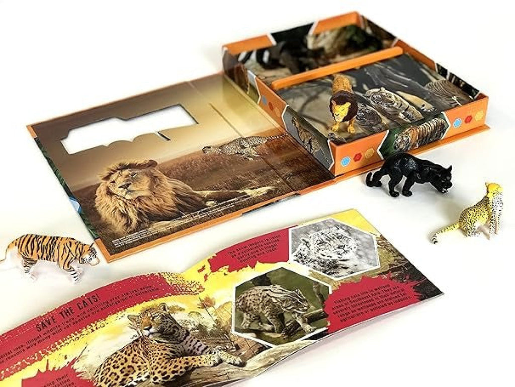 Pocket Explorers: Wildcats Pocket Explorers