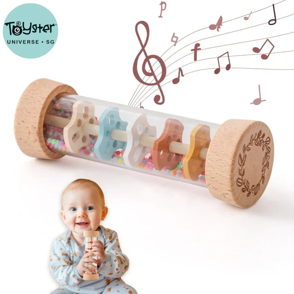 Rain Music Rattle Toy