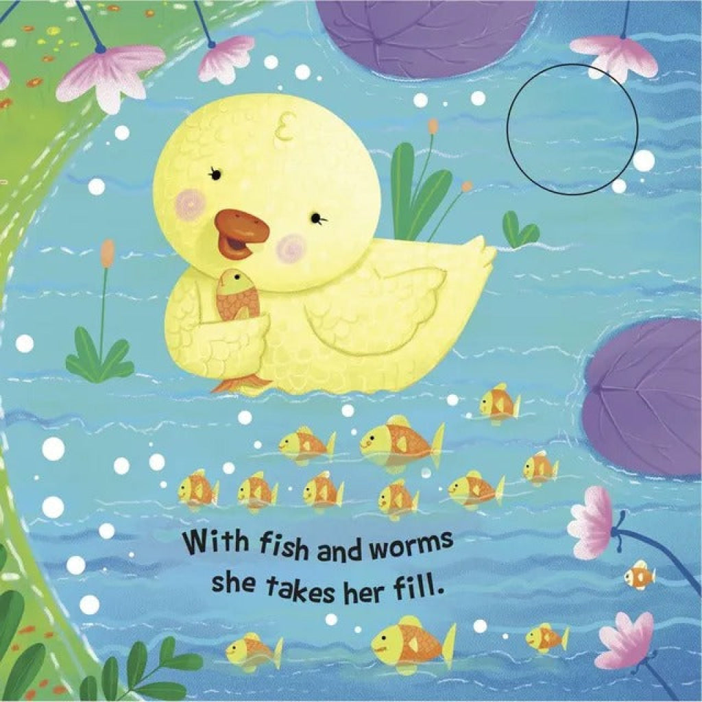 Sound Book Duck - OM Books