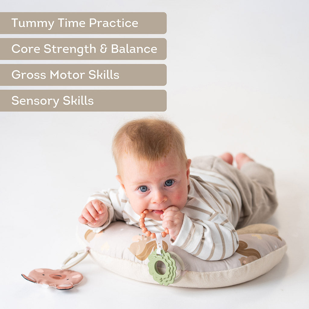 Taf Toys Baby Tummy Time First Pillow - Easier Beginnings