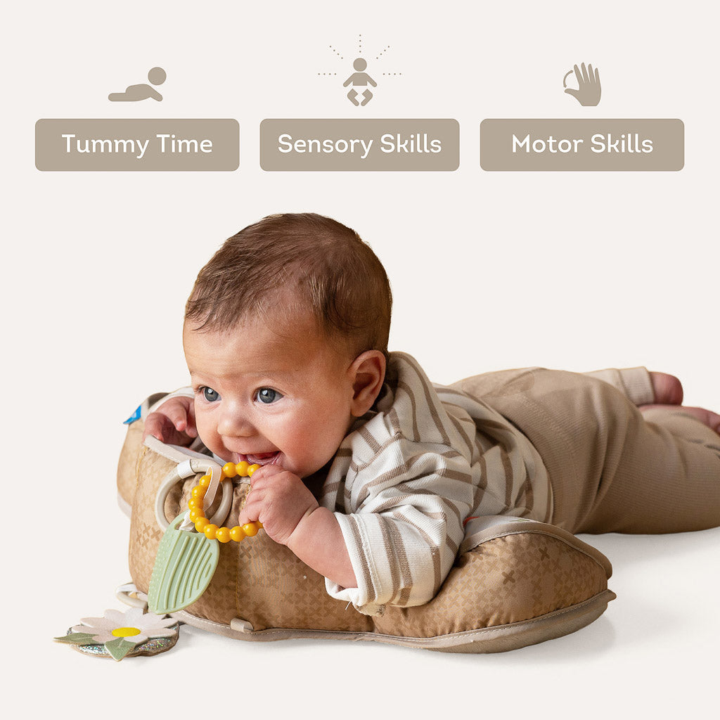 Taf Toys Bear Tummy Time Pillow - Easier Development