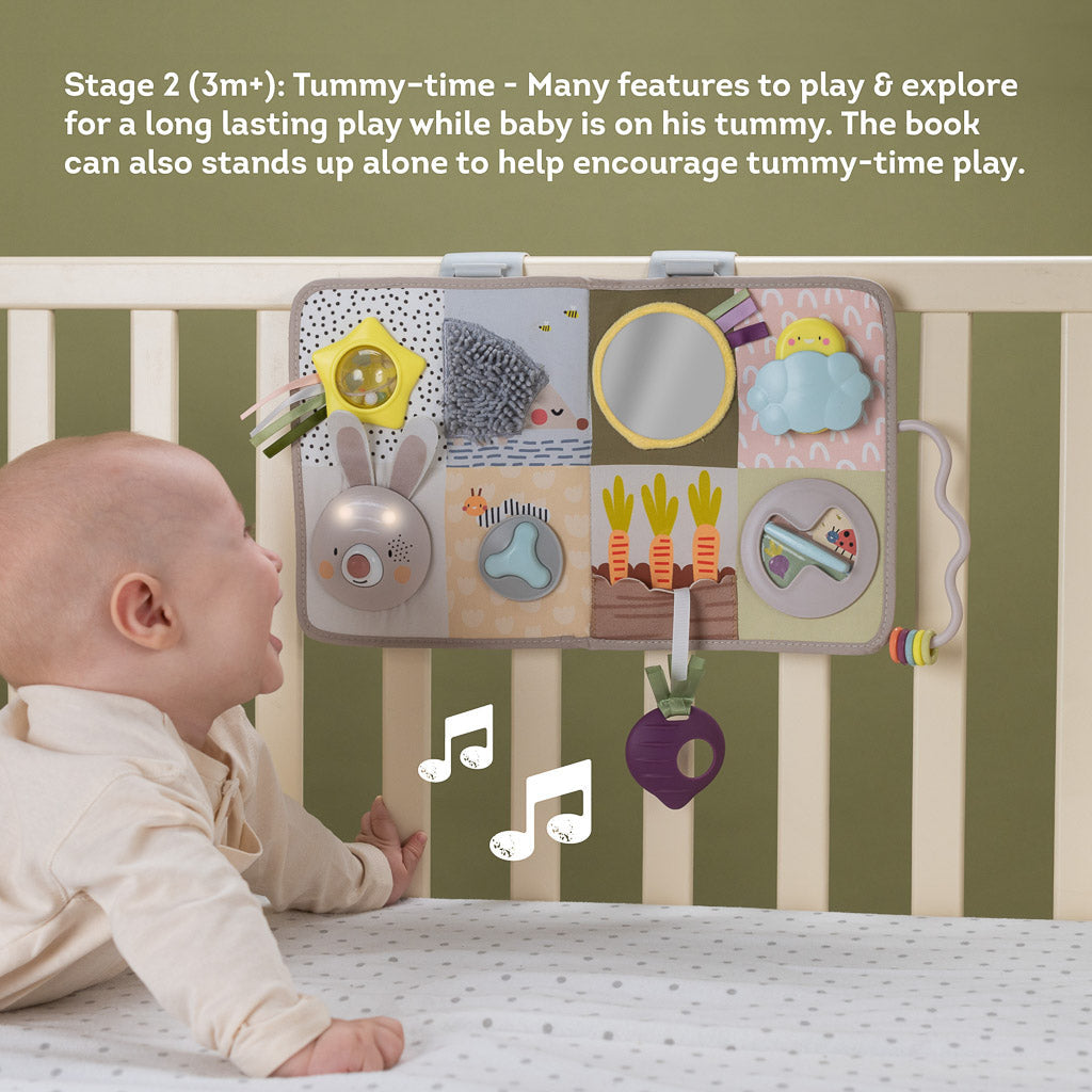 Taf Toys Developmental Activity Center - Easier Development