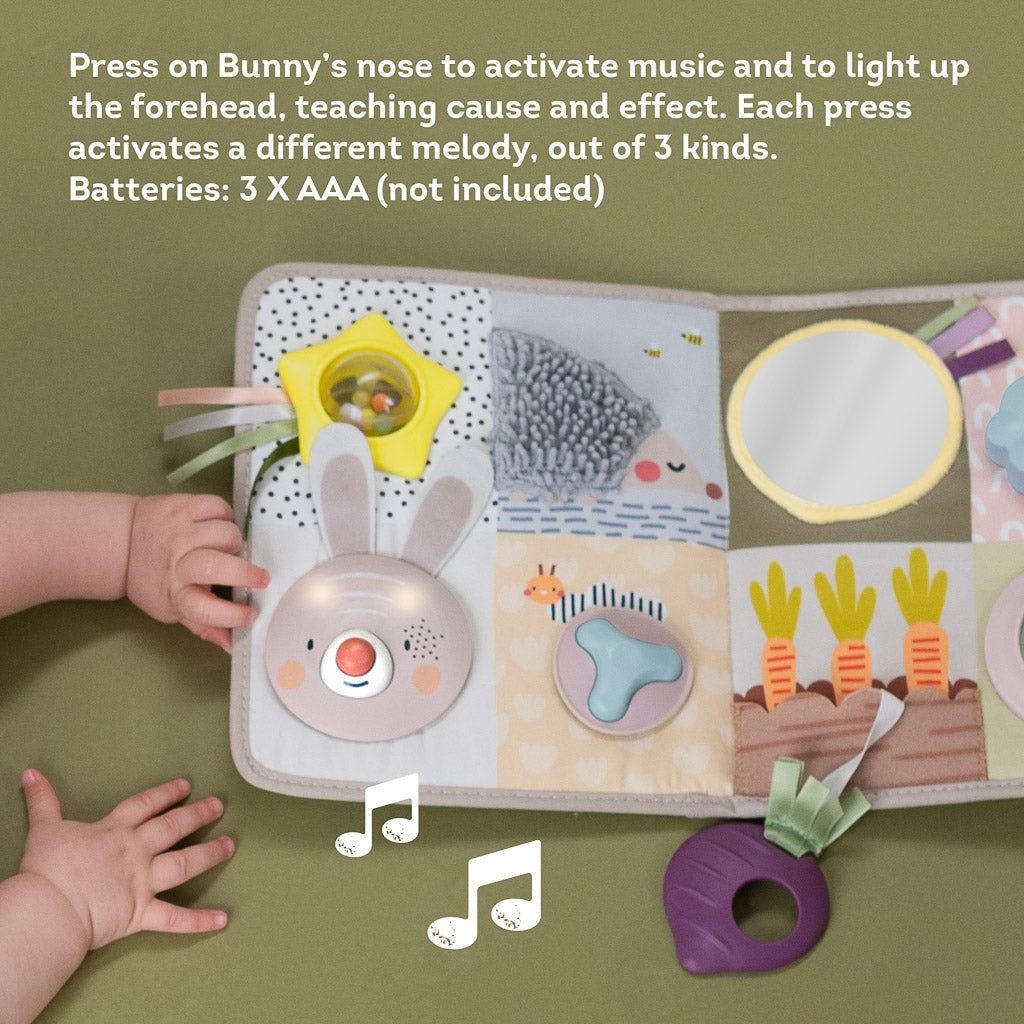 Taf Toys Developmental Activity Center - Easier Development