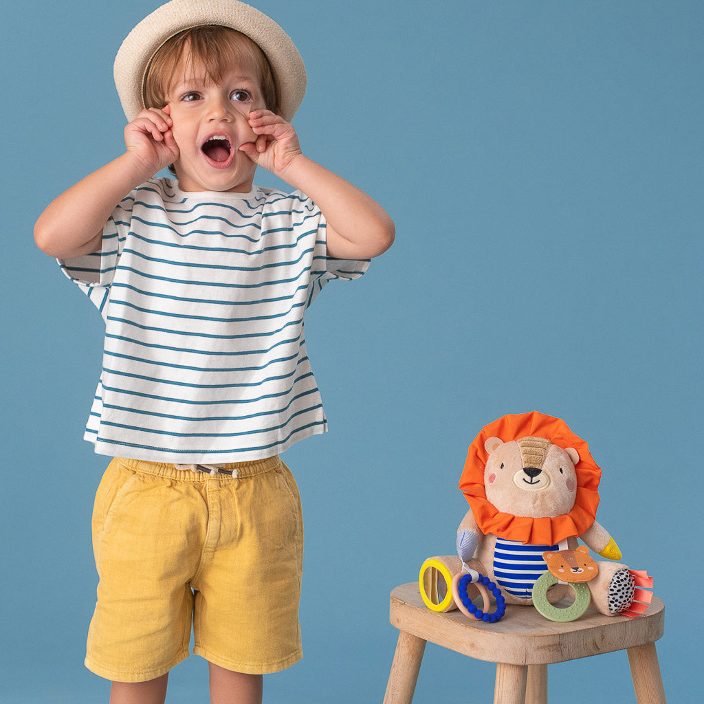Taf Toys Harry the Lion Activity Toy - Easier Development