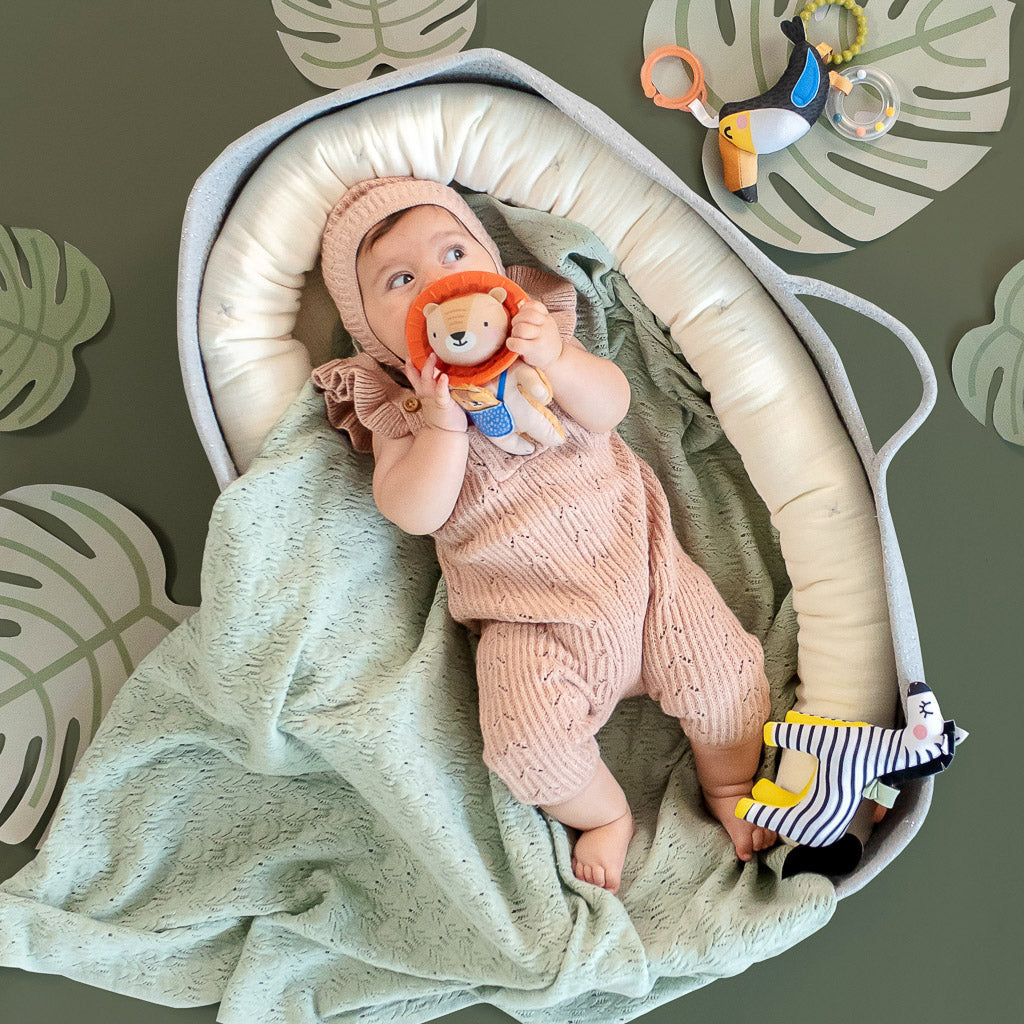 Taf Toys Harry the Lion - Easier Development