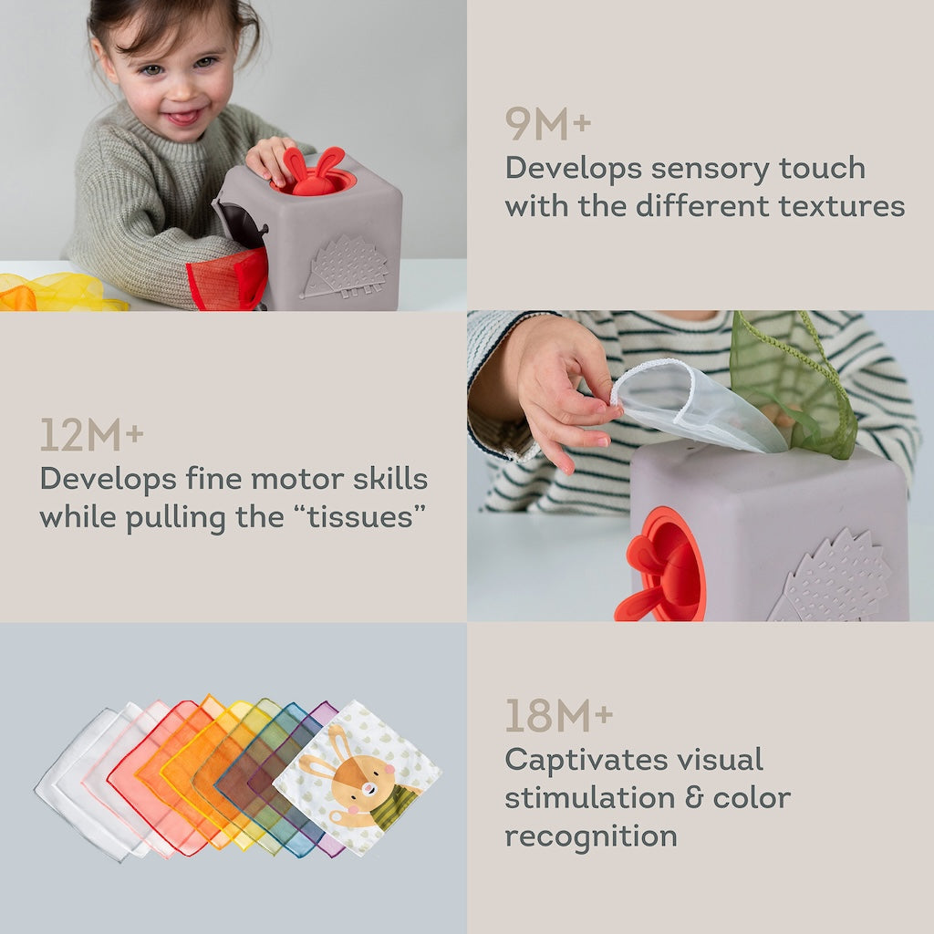 Taf Toys Pop Up Tissue Box - Easier Learning
