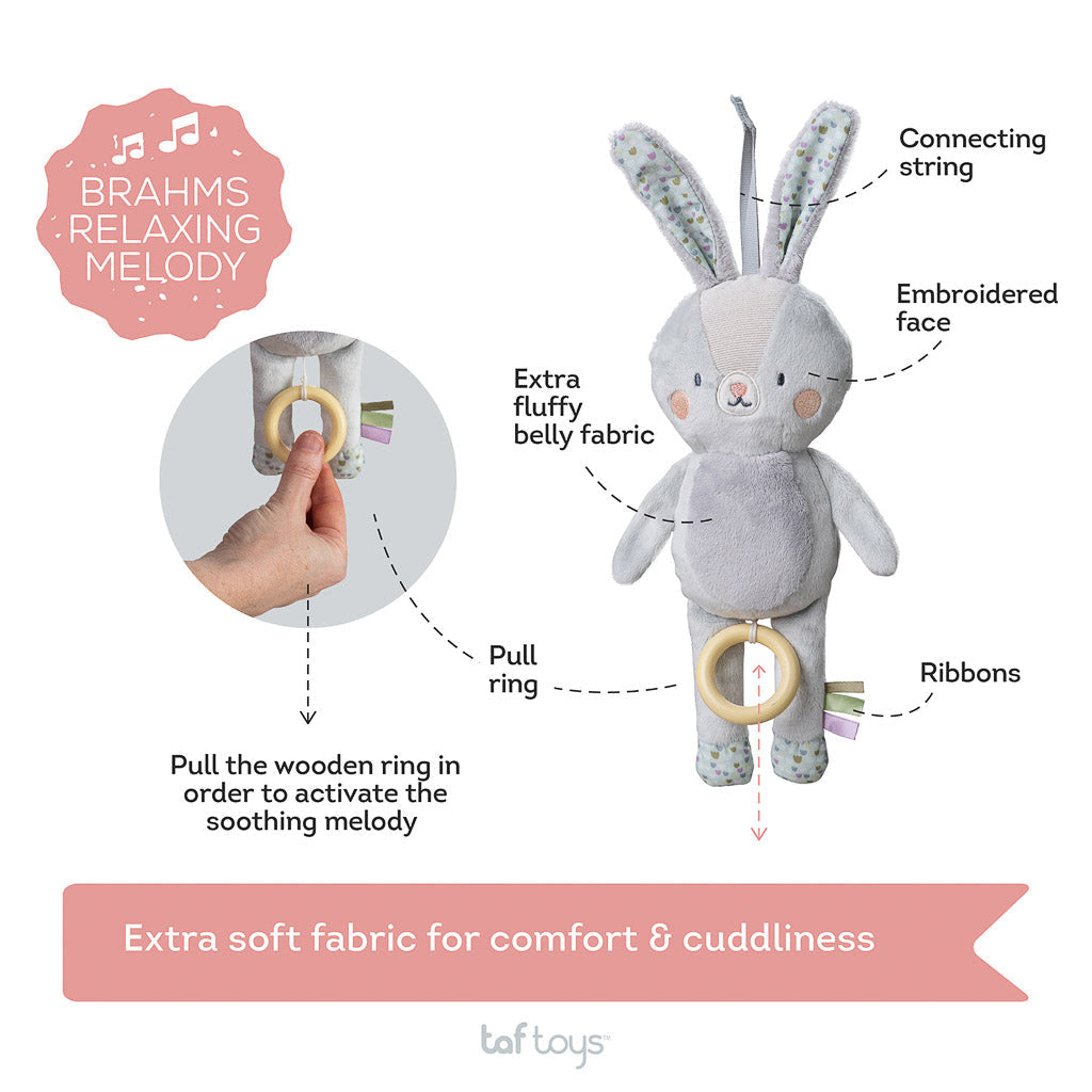 Taf Toys Urban Garden Rylee Musical Bunny - Easier Sleep
