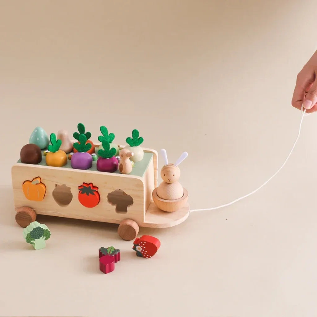 Wooden Turnip Car Stretch Rope Hand-Pulled